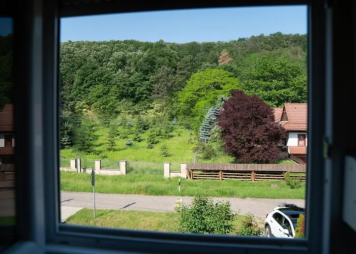 Pipacs Vendeghaz Bogács